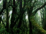 Survival Skills for Costa Rica